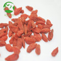 Vente de baies de goji séchées biologiques saines